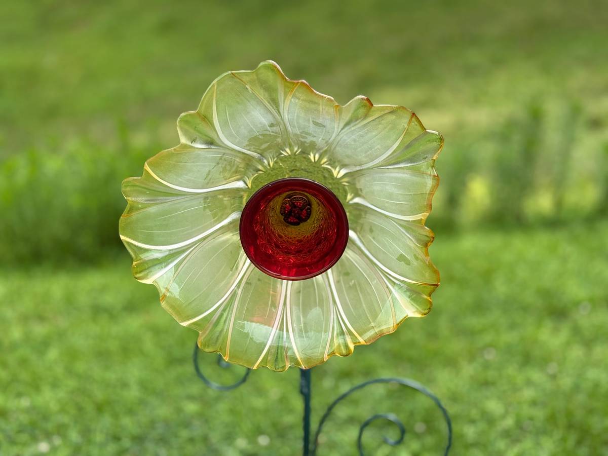 Yellow with Ruby Red Center — Large Glass Flower — view 1