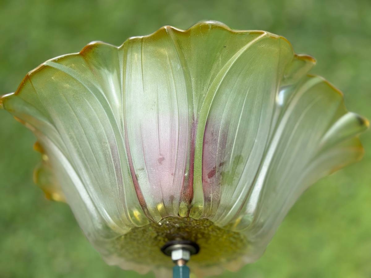 Yellow with Ruby Red Center — Large Glass Flower — view 2